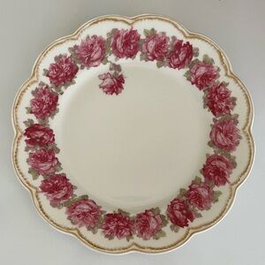 Haviland Limoges Schleiger 55 Drop Rose Double Gold Edge 9-5/8" Dinner Plate